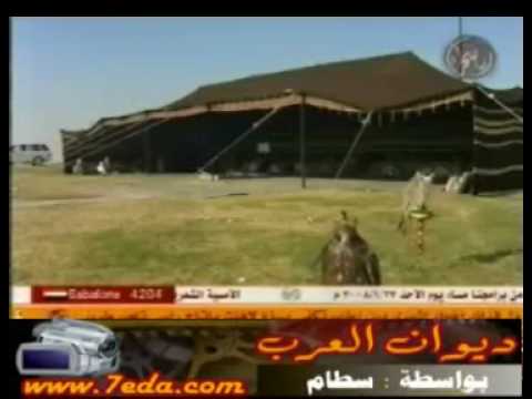 شيلة الطير بصوت سعود الدلبحي شيلة الطير بصوت سعود الدلبحي